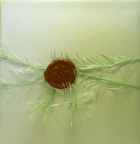 ������� 12-109