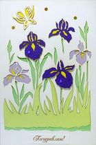 �������� 20-204