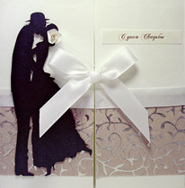 �������� 3-223